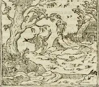 An illustration from Francisci Sanctii Brocensis in inclyta Salmaticensi Academia rhetoricae Graecaeque linguae professoris Comment. in And. Alciati emblemata : nunc denuo multis in locis accurate recognita, & quamplurimis figuris illustrata : cum indice copiosissimo (1573)