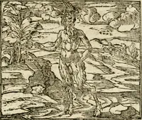 An illustration from Francisci Sanctii Brocensis in inclyta Salmaticensi Academia rhetoricae Graecaeque linguae professoris Comment. in And. Alciati emblemata : nunc denuo multis in locis accurate recognita, & quamplurimis figuris illustrata : cum indice copiosissimo (1573)