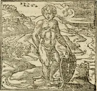 An illustration from Francisci Sanctii Brocensis in inclyta Salmaticensi Academia rhetoricae Graecaeque linguae professoris Comment. in And. Alciati emblemata : nunc denuo multis in locis accurate recognita, & quamplurimis figuris illustrata : cum indice copiosissimo (1573)