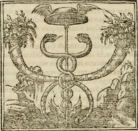 An illustration from Francisci Sanctii Brocensis in inclyta Salmaticensi Academia rhetoricae Graecaeque linguae professoris Comment. in And. Alciati emblemata : nunc denuo multis in locis accurate recognita, & quamplurimis figuris illustrata : cum indice copiosissimo (1573)