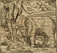 An illustration from Francisci Sanctii Brocensis in inclyta Salmaticensi Academia rhetoricae Graecaeque linguae professoris Comment. in And. Alciati emblemata : nunc denuo multis in locis accurate recognita, & quamplurimis figuris illustrata : cum indice copiosissimo (1573)