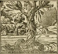 An illustration from Francisci Sanctii Brocensis in inclyta Salmaticensi Academia rhetoricae Graecaeque linguae professoris Comment. in And. Alciati emblemata : nunc denuo multis in locis accurate recognita, & quamplurimis figuris illustrata : cum indice copiosissimo (1573)