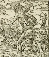 An illustration from Francisci Sanctii Brocensis in inclyta Salmaticensi Academia rhetoricae Graecaeque linguae professoris Comment. in And. Alciati emblemata : nunc denuo multis in locis accurate recognita, & quamplurimis figuris illustrata : cum indice copiosissimo (1573)