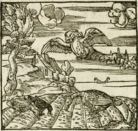 Picture 143 of 217 from Francisci Sanctii Brocensis in inclyta Salmaticensi Academia rhetoricae Graecaeque linguae professoris Comment. in And. Alciati emblemata : nunc denuo multis in locis accurate recognita, & quamplurimis figuris illustrata : cum indice copiosissimo (1573), leaf 409