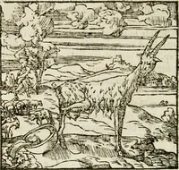 Picture 144 of 217 from Francisci Sanctii Brocensis in inclyta Salmaticensi Academia rhetoricae Graecaeque linguae professoris Comment. in And. Alciati emblemata : nunc denuo multis in locis accurate recognita, & quamplurimis figuris illustrata : cum indice copiosissimo (1573), leaf 411