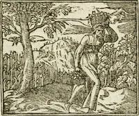 An illustration from Francisci Sanctii Brocensis in inclyta Salmaticensi Academia rhetoricae Graecaeque linguae professoris Comment. in And. Alciati emblemata : nunc denuo multis in locis accurate recognita, & quamplurimis figuris illustrata : cum indice copiosissimo (1573)