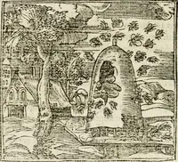 An illustration from Francisci Sanctii Brocensis in inclyta Salmaticensi Academia rhetoricae Graecaeque linguae professoris Comment. in And. Alciati emblemata : nunc denuo multis in locis accurate recognita, & quamplurimis figuris illustrata : cum indice copiosissimo (1573)