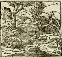An illustration from Francisci Sanctii Brocensis in inclyta Salmaticensi Academia rhetoricae Graecaeque linguae professoris Comment. in And. Alciati emblemata : nunc denuo multis in locis accurate recognita, & quamplurimis figuris illustrata : cum indice copiosissimo (1573)
