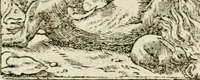 An illustration from Francisci Sanctii Brocensis in inclyta Salmaticensi Academia rhetoricae Graecaeque linguae professoris Comment. in And. Alciati emblemata : nunc denuo multis in locis accurate recognita, & quamplurimis figuris illustrata : cum indice copiosissimo (1573)