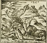 An illustration from Francisci Sanctii Brocensis in inclyta Salmaticensi Academia rhetoricae Graecaeque linguae professoris Comment. in And. Alciati emblemata : nunc denuo multis in locis accurate recognita, & quamplurimis figuris illustrata : cum indice copiosissimo (1573)