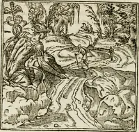 An illustration from Francisci Sanctii Brocensis in inclyta Salmaticensi Academia rhetoricae Graecaeque linguae professoris Comment. in And. Alciati emblemata : nunc denuo multis in locis accurate recognita, & quamplurimis figuris illustrata : cum indice copiosissimo (1573)
