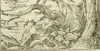 An illustration from Francisci Sanctii Brocensis in inclyta Salmaticensi Academia rhetoricae Graecaeque linguae professoris Comment. in And. Alciati emblemata : nunc denuo multis in locis accurate recognita, & quamplurimis figuris illustrata : cum indice copiosissimo (1573)