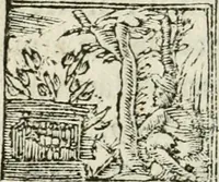 Picture 192 of 217 from Francisci Sanctii Brocensis in inclyta Salmaticensi Academia rhetoricae Graecaeque linguae professoris Comment. in And. Alciati emblemata : nunc denuo multis in locis accurate recognita, & quamplurimis figuris illustrata : cum indice copiosissimo (1573), leaf 513