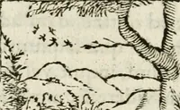 Picture 194 of 217 from Francisci Sanctii Brocensis in inclyta Salmaticensi Academia rhetoricae Graecaeque linguae professoris Comment. in And. Alciati emblemata : nunc denuo multis in locis accurate recognita, & quamplurimis figuris illustrata : cum indice copiosissimo (1573), leaf 523