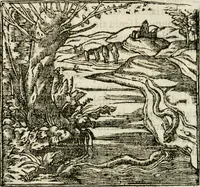 Picture 197 of 217 from Francisci Sanctii Brocensis in inclyta Salmaticensi Academia rhetoricae Graecaeque linguae professoris Comment. in And. Alciati emblemata : nunc denuo multis in locis accurate recognita, & quamplurimis figuris illustrata : cum indice copiosissimo (1573), leaf 527