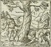 An illustration from Francisci Sanctii Brocensis in inclyta Salmaticensi Academia rhetoricae Graecaeque linguae professoris Comment. in And. Alciati emblemata : nunc denuo multis in locis accurate recognita, & quamplurimis figuris illustrata : cum indice copiosissimo (1573)