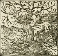 An illustration from Francisci Sanctii Brocensis in inclyta Salmaticensi Academia rhetoricae Graecaeque linguae professoris Comment. in And. Alciati emblemata : nunc denuo multis in locis accurate recognita, & quamplurimis figuris illustrata : cum indice copiosissimo (1573)