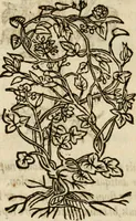 An illustration from Francisci Sanctii Brocensis in inclyta Salmaticensi Academia rhetoricae Graecaeque linguae professoris Comment. in And. Alciati emblemata : nunc denuo multis in locis accurate recognita, & quamplurimis figuris illustrata : cum indice copiosissimo (1573)