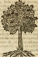 Picture 211 of 217 from Francisci Sanctii Brocensis in inclyta Salmaticensi Academia rhetoricae Graecaeque linguae professoris Comment. in And. Alciati emblemata : nunc denuo multis in locis accurate recognita, & quamplurimis figuris illustrata : cum indice copiosissimo (1573), leaf 551