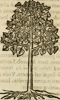 An illustration from Francisci Sanctii Brocensis in inclyta Salmaticensi Academia rhetoricae Graecaeque linguae professoris Comment. in And. Alciati emblemata : nunc denuo multis in locis accurate recognita, & quamplurimis figuris illustrata : cum indice copiosissimo (1573)