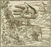 Picture 19 of 217 from Francisci Sanctii Brocensis in inclyta Salmaticensi Academia rhetoricae Graecaeque linguae professoris Comment. in And. Alciati emblemata : nunc denuo multis in locis accurate recognita, & quamplurimis figuris illustrata : cum indice copiosissimo (1573), leaf 78