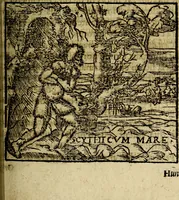 Picture 39 of 207 from Francisci Sanctii Brocensis .. (1573), leaf 164