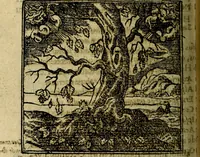 An illustration from Francisci Sanctii Brocensis .. (1573)