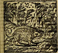 An illustration from Francisci Sanctii Brocensis .. (1573)