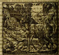 An illustration from Francisci Sanctii Brocensis .. (1573)