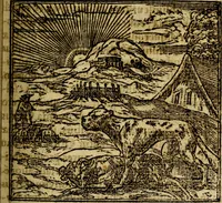 Picture 68 of 207 from Francisci Sanctii Brocensis .. (1573), leaf 228