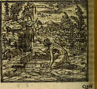 Picture 71 of 207 from Francisci Sanctii Brocensis .. (1573), leaf 237
