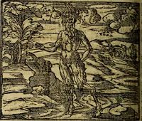 Picture 74 of 207 from Francisci Sanctii Brocensis .. (1573), leaf 245