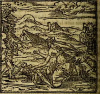 An illustration from Francisci Sanctii Brocensis .. (1573)