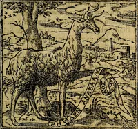 Picture 6 of 207 from Francisci Sanctii Brocensis .. (1573), leaf 26