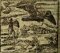 Picture 84 of 207 from Francisci Sanctii Brocensis .. (1573), leaf 271