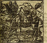An illustration from Francisci Sanctii Brocensis .. (1573)