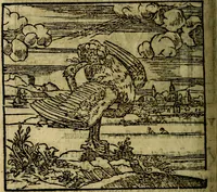 An illustration from Francisci Sanctii Brocensis .. (1573)