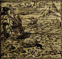 Picture 95 of 207 from Francisci Sanctii Brocensis .. (1573), leaf 296