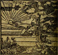 Picture 101 of 207 from Francisci Sanctii Brocensis .. (1573), leaf 311