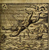 Picture 104 of 207 from Francisci Sanctii Brocensis .. (1573), leaf 322