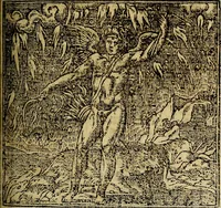 Picture 108 of 207 from Francisci Sanctii Brocensis .. (1573), leaf 330