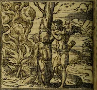 An illustration from Francisci Sanctii Brocensis .. (1573)