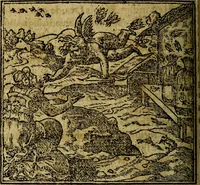 An illustration from Francisci Sanctii Brocensis .. (1573)