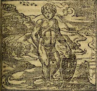 An illustration from Francisci Sanctii Brocensis .. (1573)