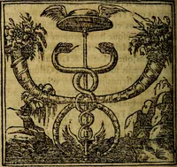 Picture 119 of 207 from Francisci Sanctii Brocensis .. (1573), leaf 359