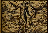 An illustration from Francisci Sanctii Brocensis .. (1573)