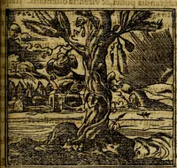 An illustration from Francisci Sanctii Brocensis .. (1573)