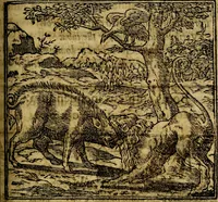 An illustration from Francisci Sanctii Brocensis .. (1573)
