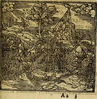 An illustration from Francisci Sanctii Brocensis .. (1573)