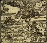 Picture 141 of 207 from Francisci Sanctii Brocensis .. (1573), leaf 418